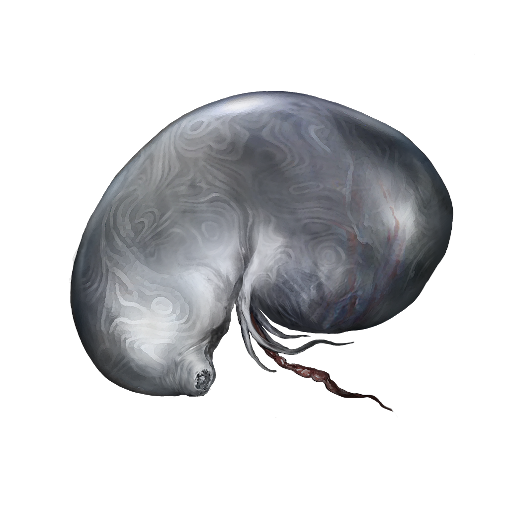 MENU_Knowledge_03075.png
