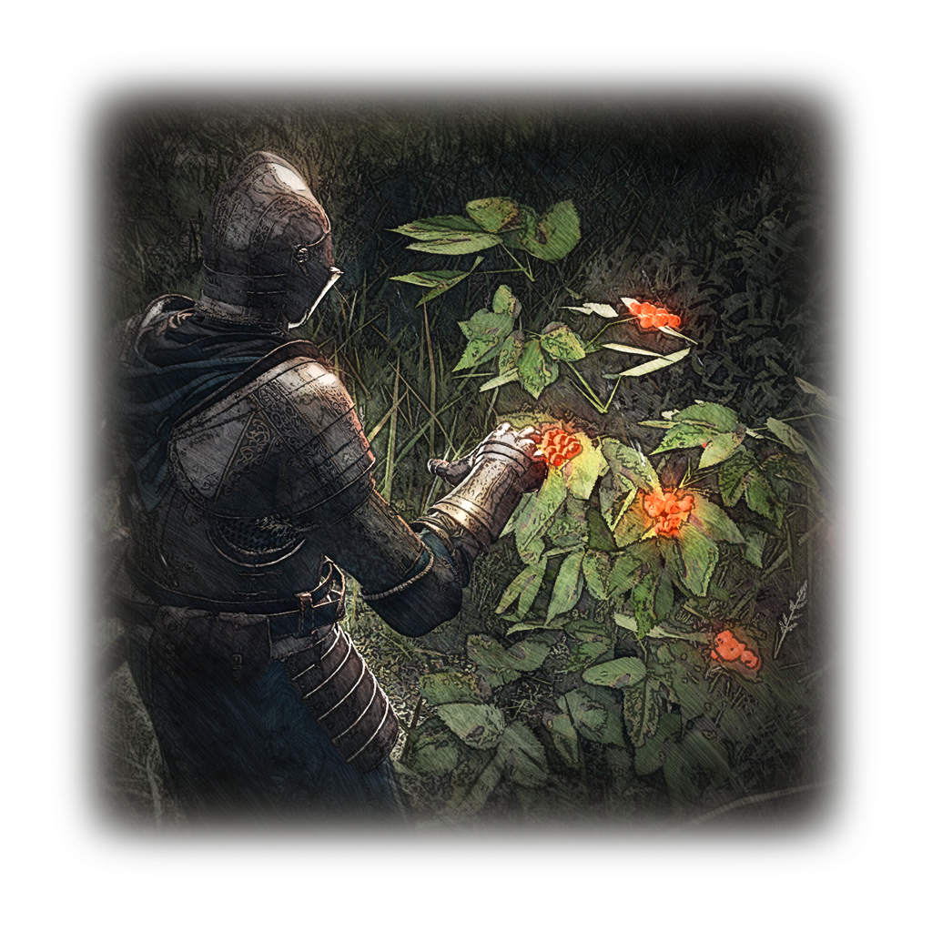 MENU_Knowledge_03335.png
