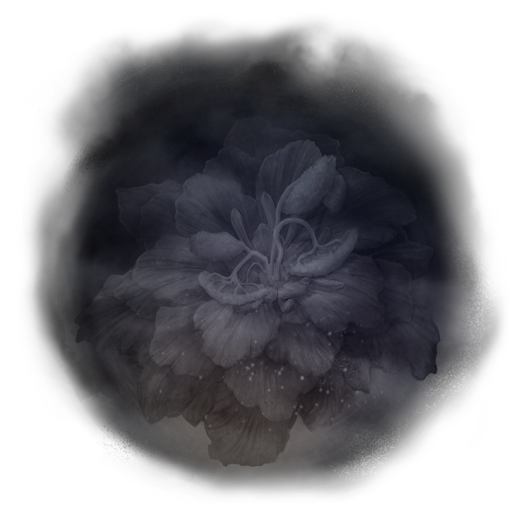 MENU_Knowledge_03701.png