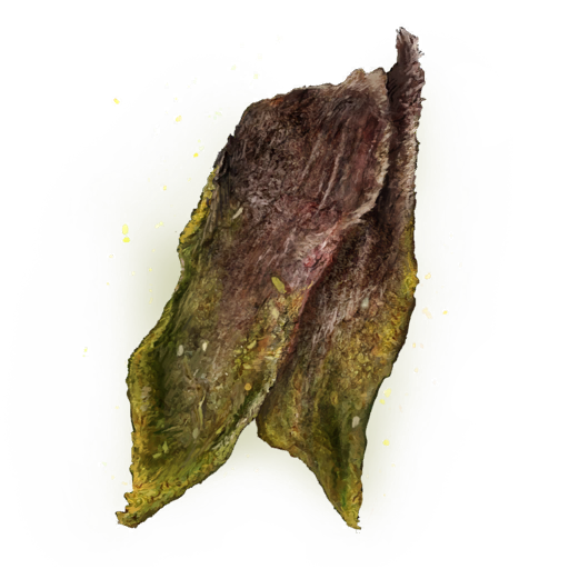 MENU_Knowledge_00052.png
