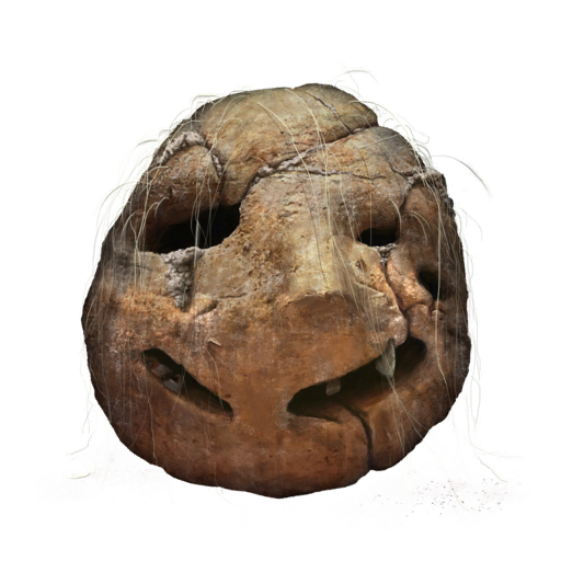 MENU_Knowledge_00095.png