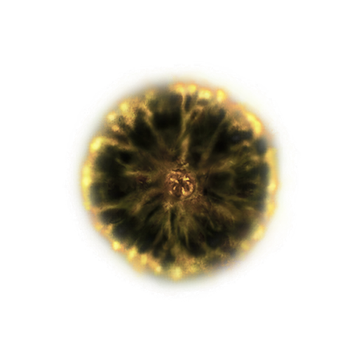 MENU_Knowledge_00818.png