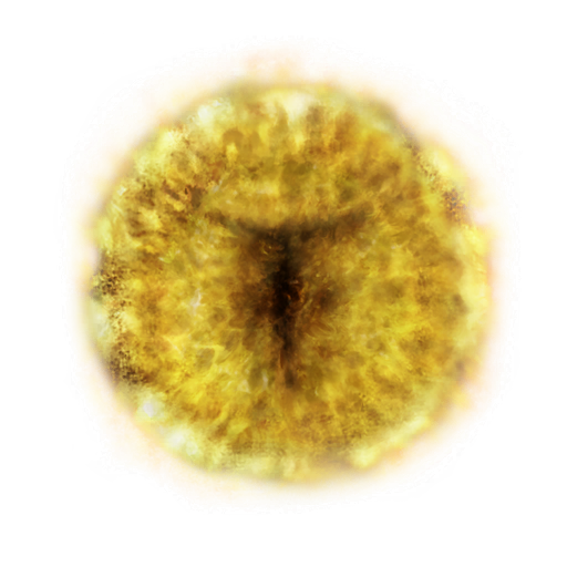MENU_Knowledge_00821.png