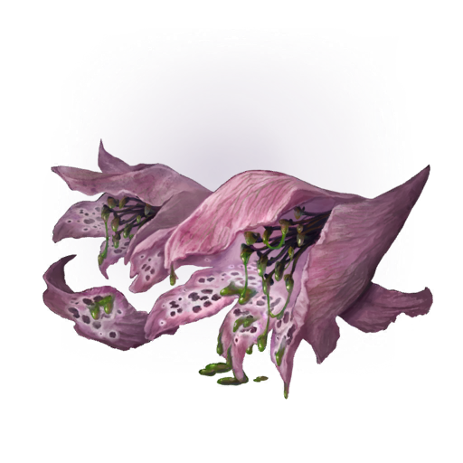 MENU_Knowledge_01013.png
