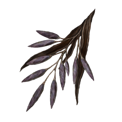 MENU_Knowledge_01110.png