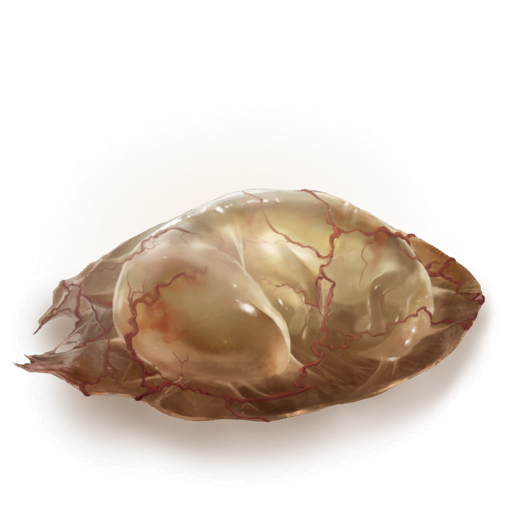 MENU_Knowledge_03057.png