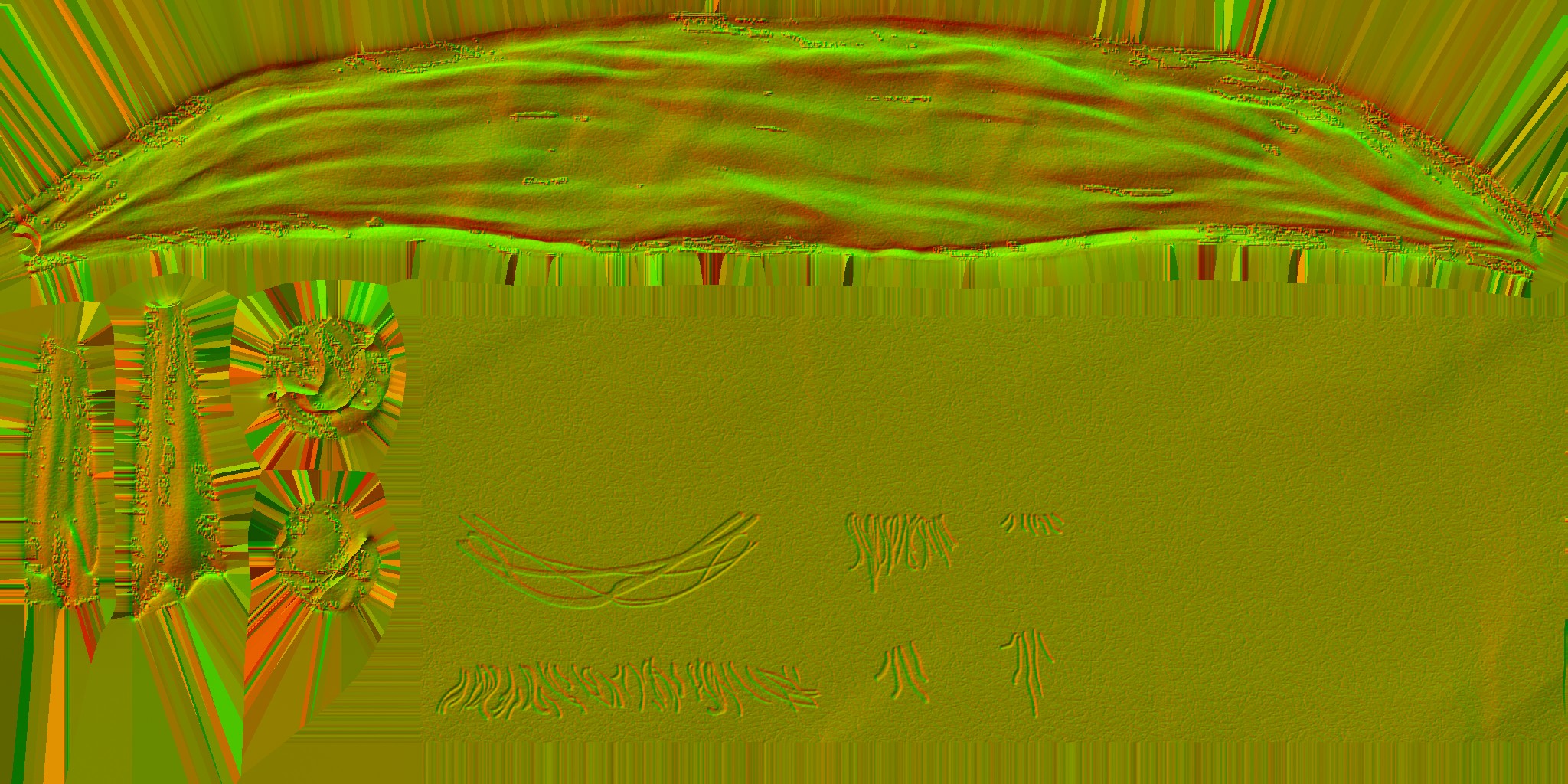 BD_F_0000_n.jpg