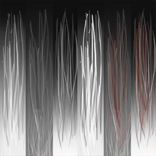 BD_M_1600_Fur_Color_a.jpg