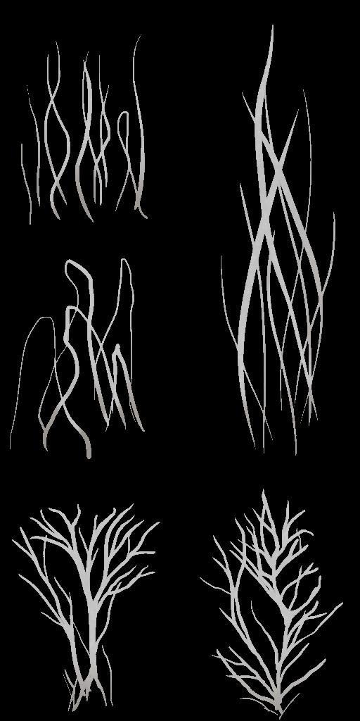 BD_M_1810_fur_a.jpg