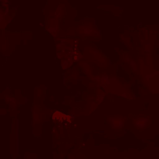 FC_F_0100_3m.jpg