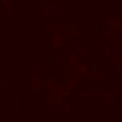 FC_M_0000_3m.jpg