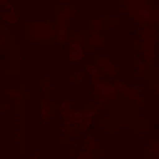 FC_M_0001_3m.jpg