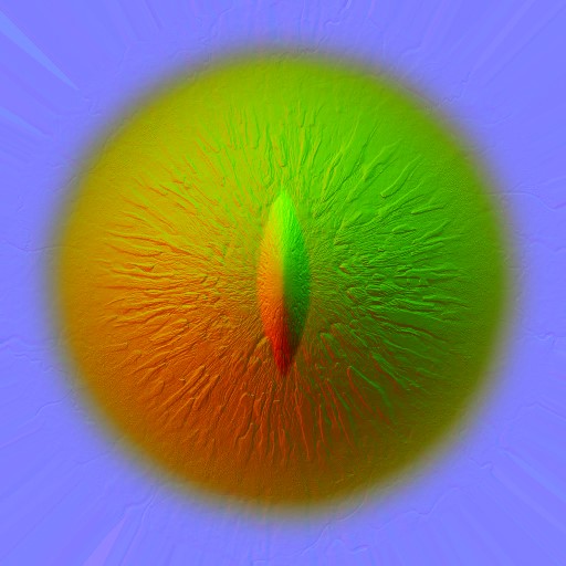 FG_A_1511_eye_n.jpg