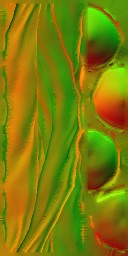 HD_M_1440_n.jpg