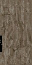 HD_M_1810_Cordyceps_a.jpg