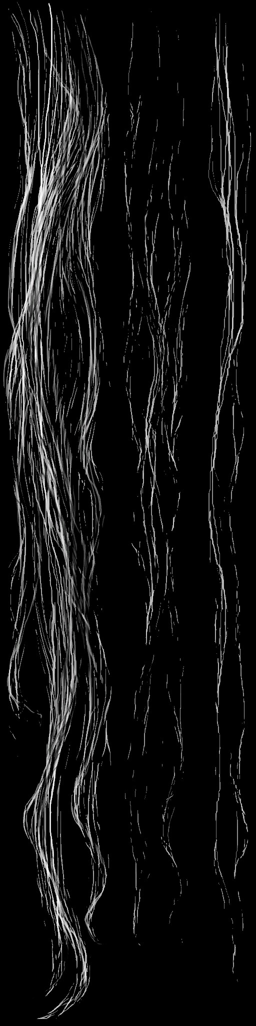 HD_M_2010_hair_a.jpg