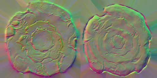 HD_M_2280_Shield_n.jpg