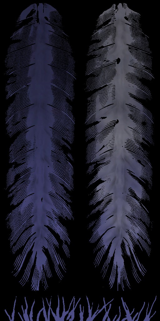 HD_M_2400_feather_a.jpg