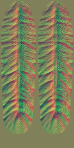 HD_M_2400_feather_n.jpg