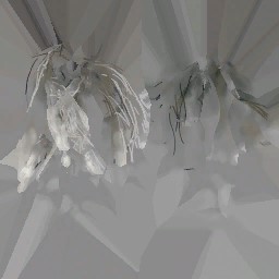 HD_M_3060_Fur_a.jpg