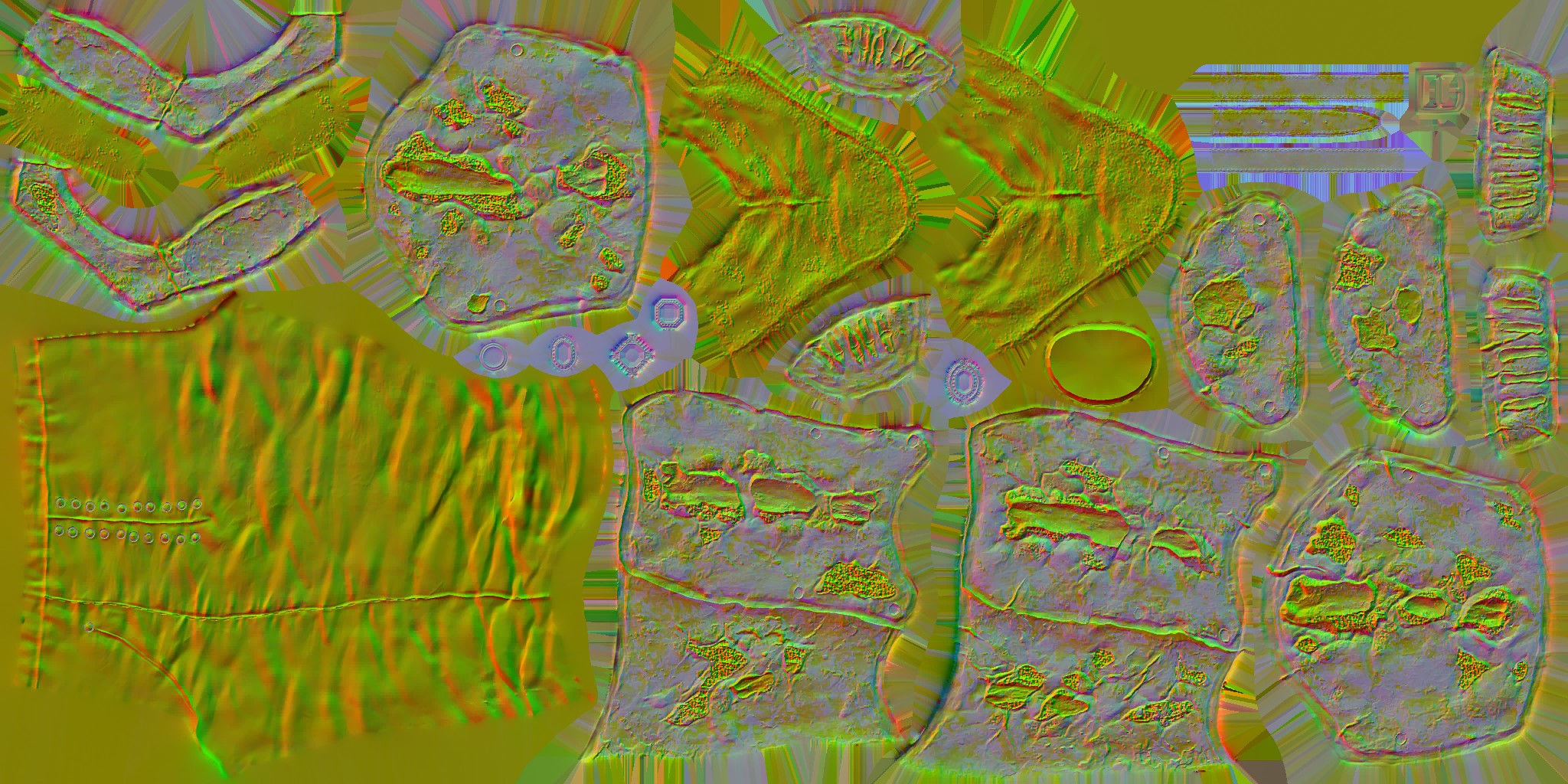 LG_M_1310_n.jpg