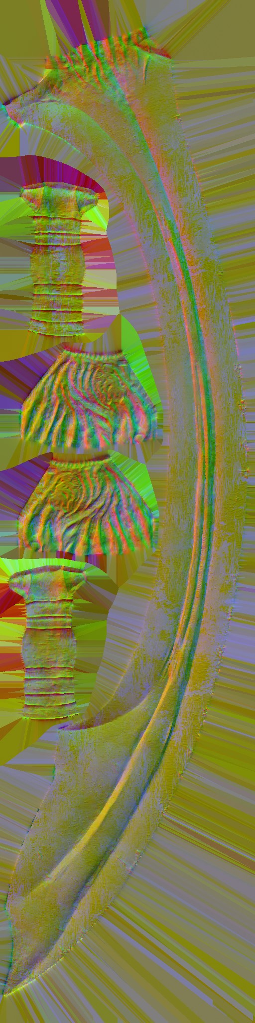 WP_A_0404_n.jpg