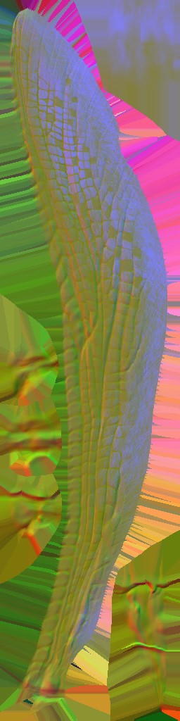 WP_A_0419_n.jpg