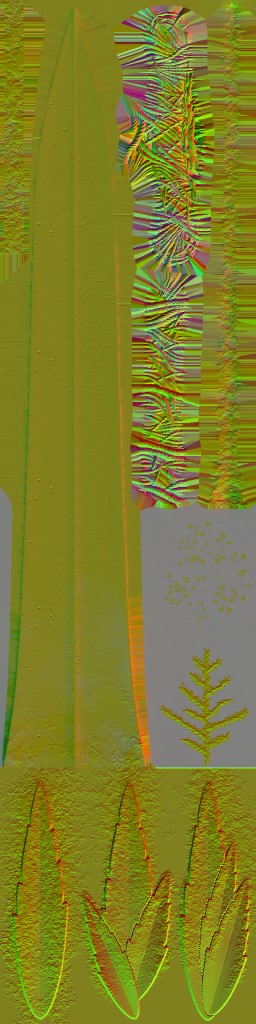 WP_A_0617_n.jpg