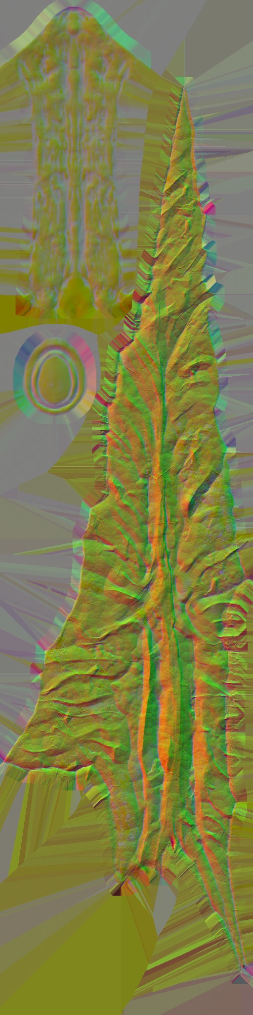 WP_A_0635_n.jpg