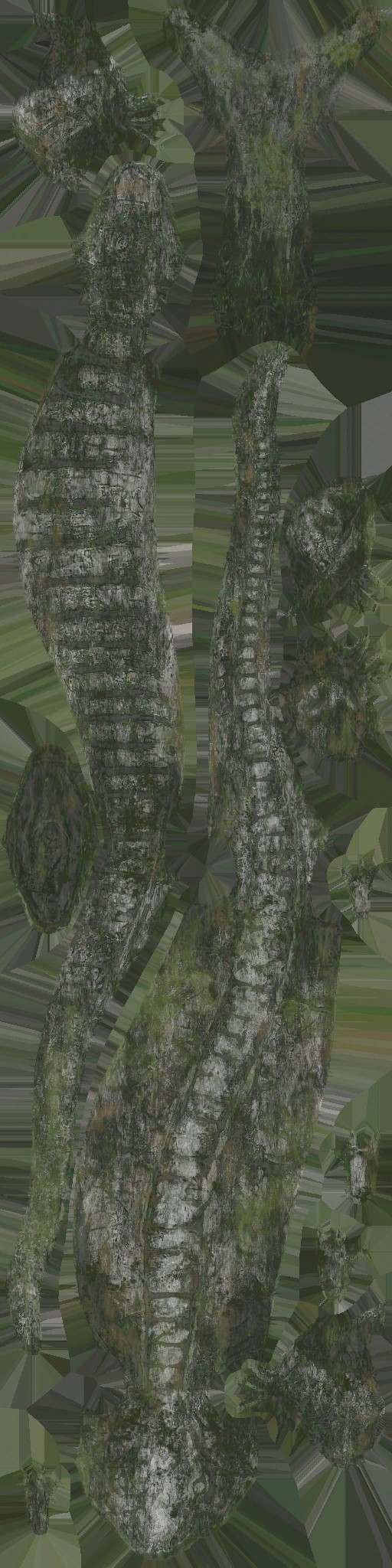 WP_A_0636_a.jpg