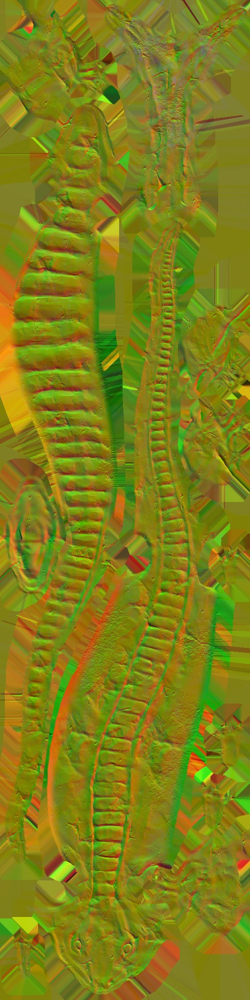 WP_A_0636_n.jpg