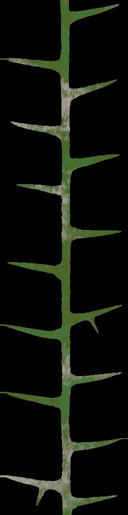 WP_A_0752_thorn_a.jpg