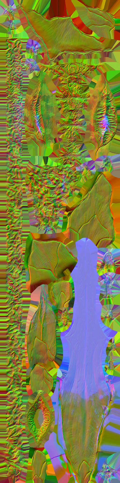 WP_A_1025_n.jpg