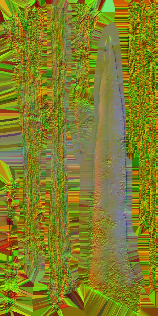 WP_A_1052_n.jpg