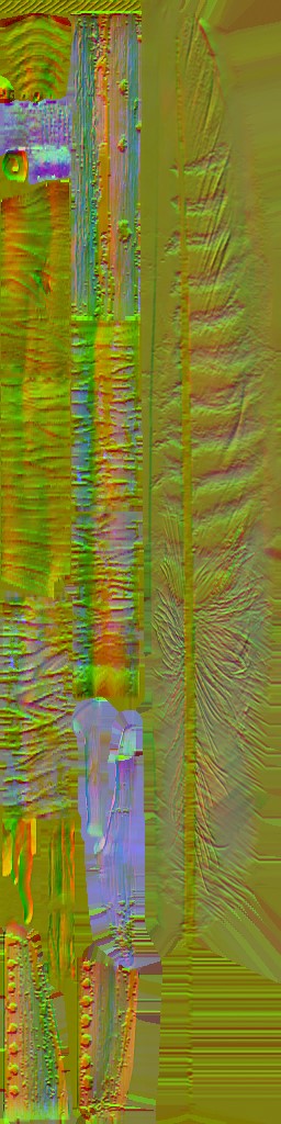 WP_A_1405_n.jpg