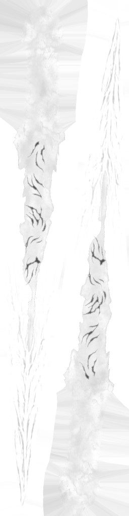 WP_A_1550_m.jpg