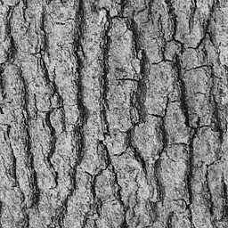 WP_A_2003_bark_a.jpg