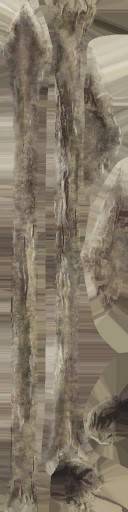 WP_A_7570_a.jpg