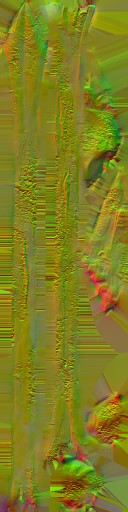 WP_A_7571_n.jpg