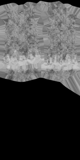 BD_F_1540_m_l.jpg