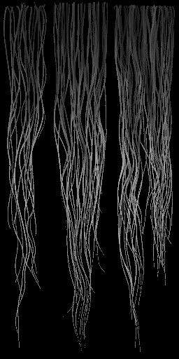 BD_M_1660_Fur_a_l.jpg