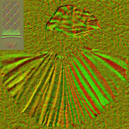 BD_M_1770_cloak_n_l.jpg