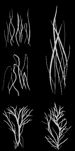 BD_M_1810_fur_a_l.jpg