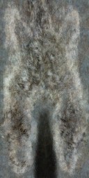 BD_M_1840_Fur_Color_a_l.jpg