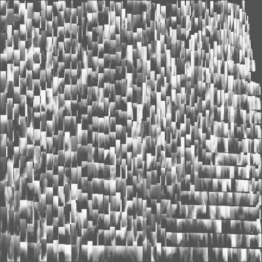 FG_A_3006_shadowmap_1m_l.jpg