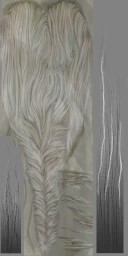 HD_M_2000_Hair_a_l.jpg