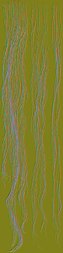 HD_M_2010_hair_n_l.jpg