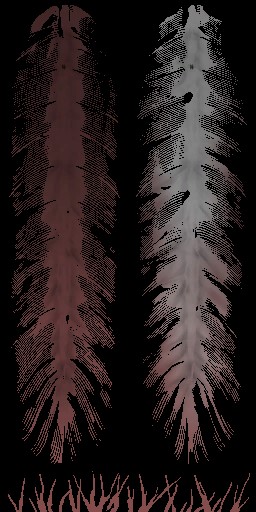 HD_M_2380_feather_a_l.jpg
