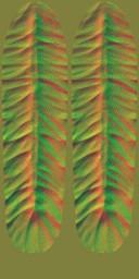 HD_M_2380_feather_n_l.jpg
