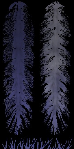 HD_M_2400_feather_a_l.jpg